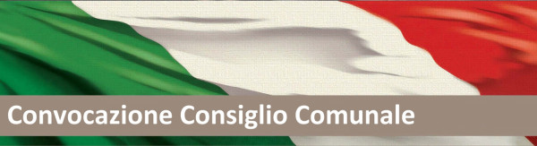 Consiglio Comunale del 05 Giugno 2014